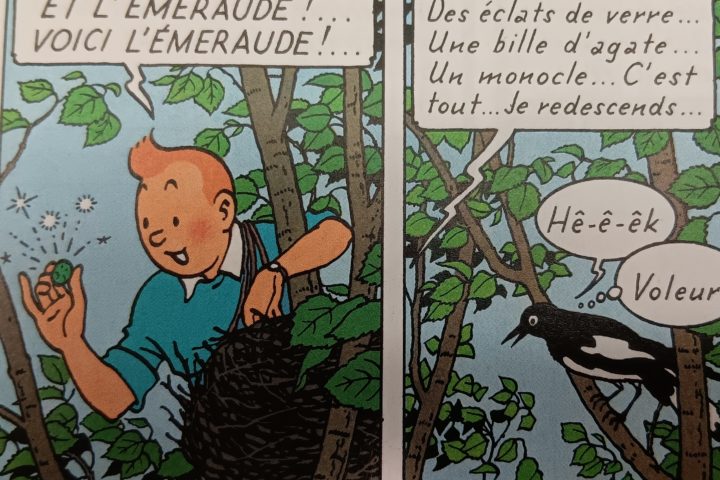 Le monde à ma porte – 2 mai 2025