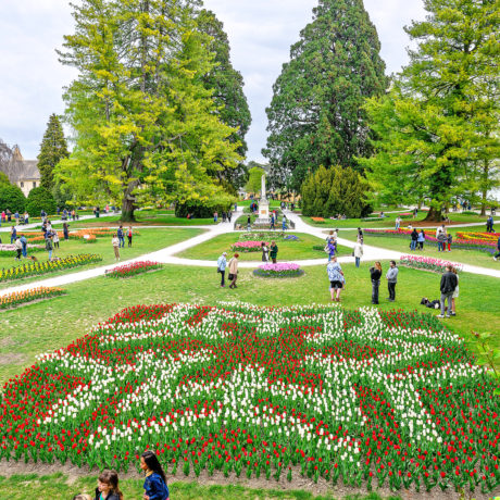 Premier bilan « positif » pour la Fête de la Tulipe