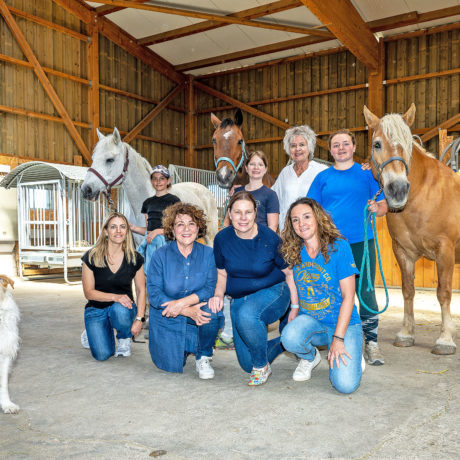 Chevaux et humains main dans la main