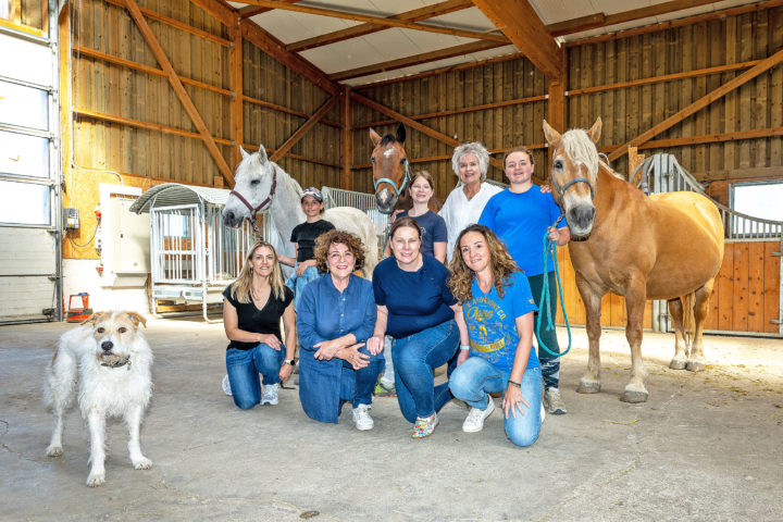 Chevaux et humains main dans la main