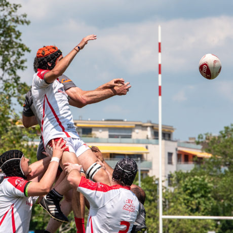 Le XV de la Tulipe reçoit le leader
