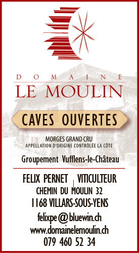 Voir le site de l'annonceur