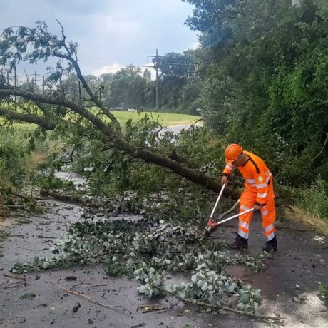 Inondations et chutes d’arbres en pagaille