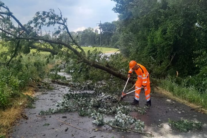 Inondations et chutes d’arbres en pagaille