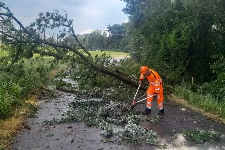 Inondations et chutes d’arbres en pagaille