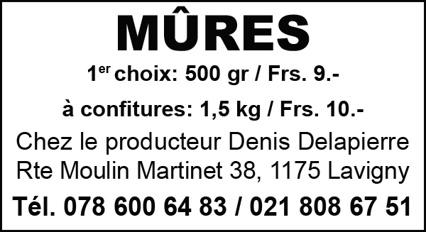 Voir le site de l'annonceur
