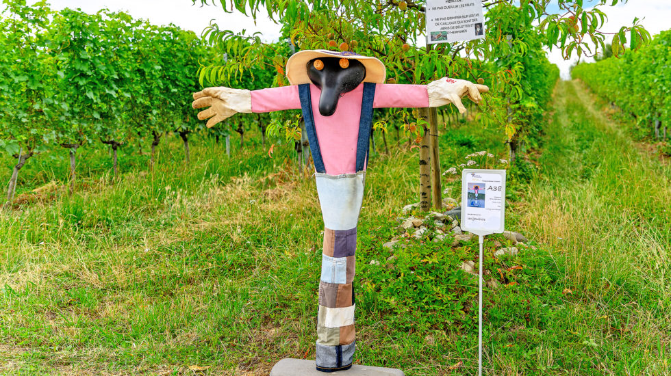 Carton plein pour la Fête de l'Épouvantail à Denens