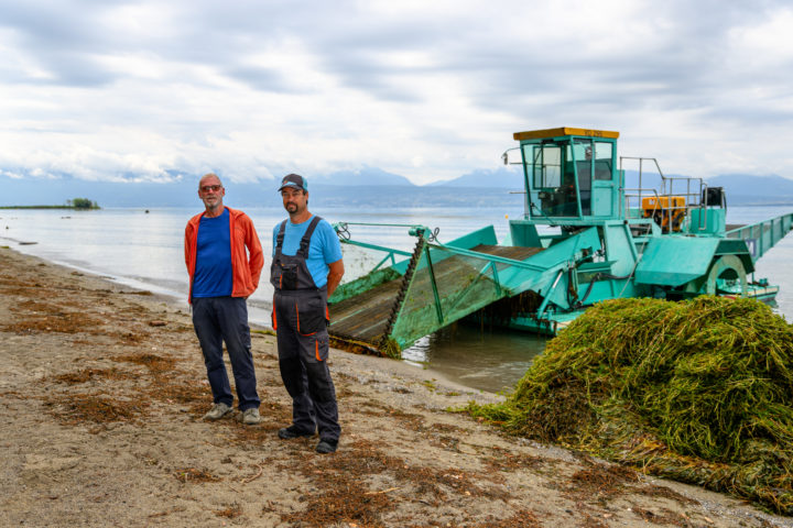 Faucarder pour mieux profiter du lac