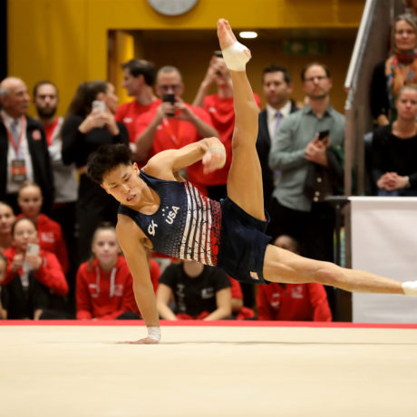 Le Gander de retour à Beausobre