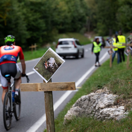 Les paysans en action pour protester contre la gestion du loup