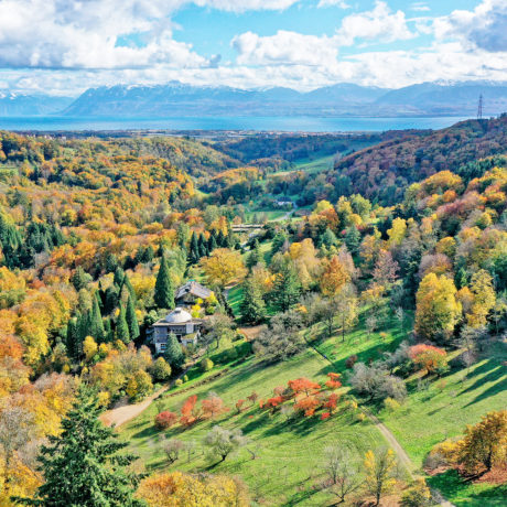 À l’Arboretum, le jardin botanique revêt des couleurs d’or