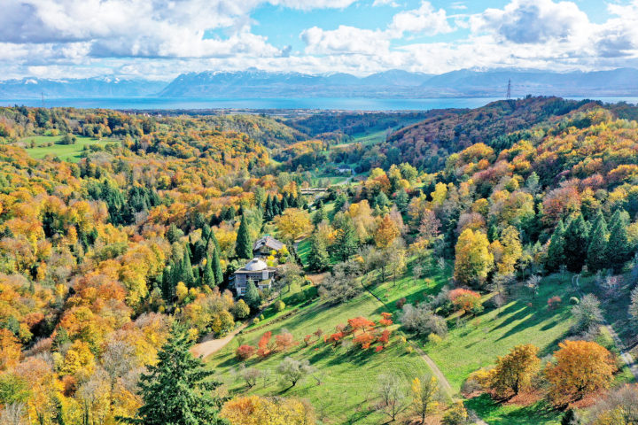 À l’Arboretum, le jardin botanique revêt des couleurs d’or