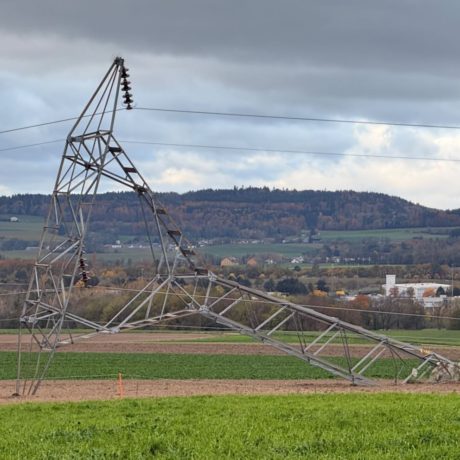 Il faudra six mois pour remplacer les pylônes tombés à Bière