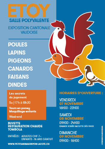 Voir le site de l'annonceur