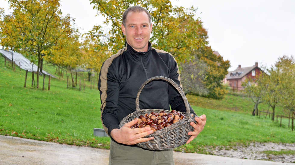 Châtaignes: son pari s’avère payant