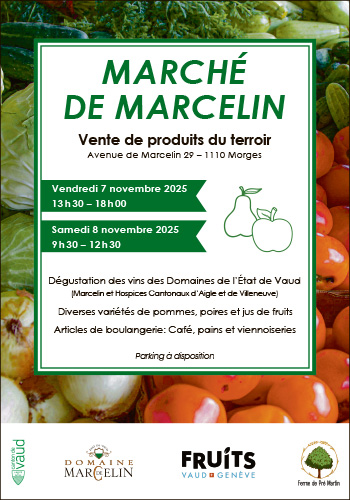 Voir le site de l'annonceur