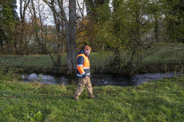Amende salée pour une baignage de vaches dans la Venoge