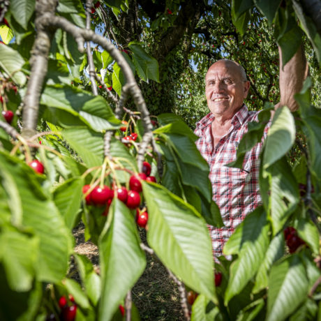 L&rsquo;année 2025 en 26 lettres (J à L)