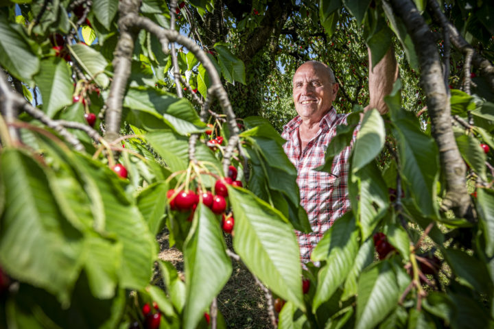 L&rsquo;année 2025 en 26 lettres (J à L)