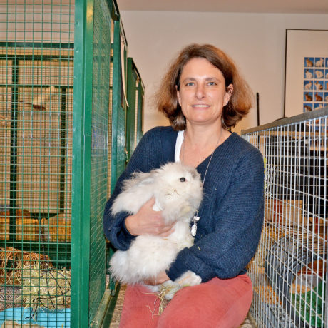 De trop nombreux animaux finissent abandonnés