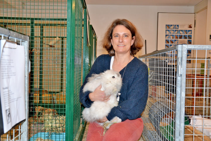 De trop nombreux animaux finissent abandonnés