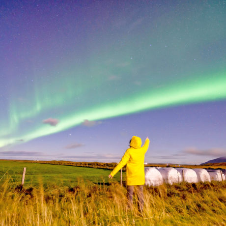 L&rsquo;année 2025 en 26 lettres (Y et Z)