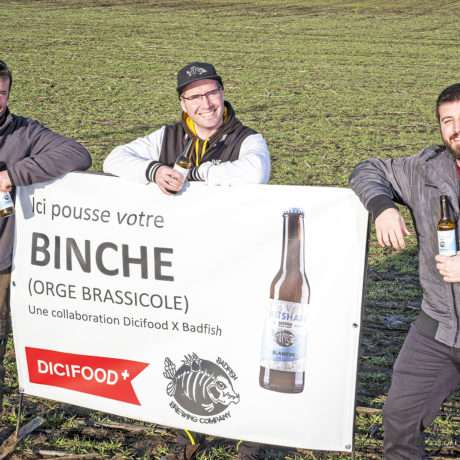 La mousse naît dans le champ à côté