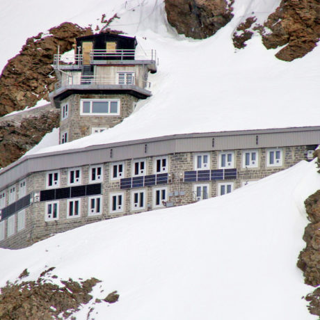 Ça ira mieux demain… Leur longévité est en fait plus élevée