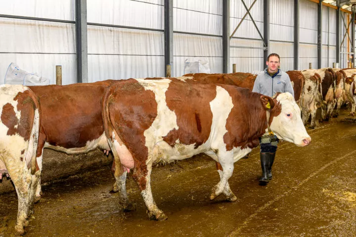 Producteurs laitiers dans la tourmente