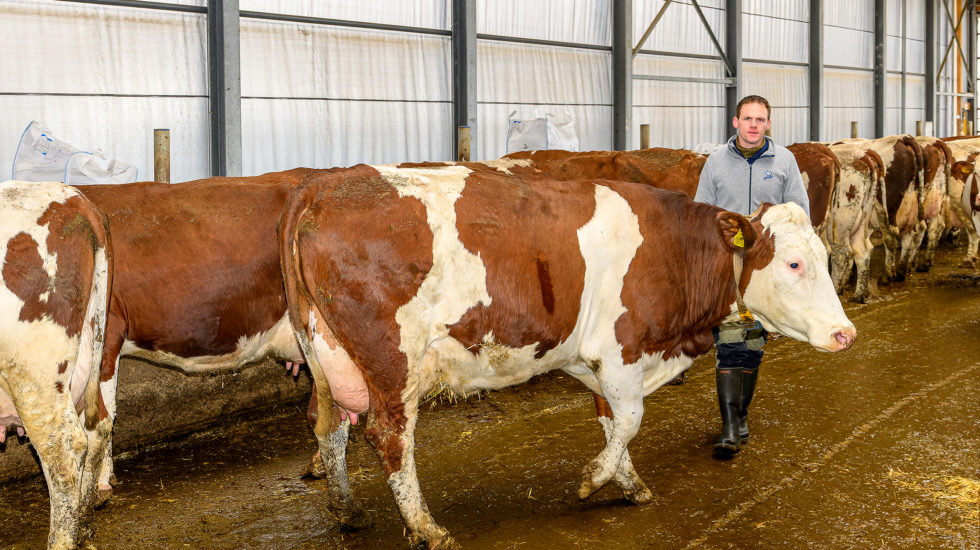 Producteurs laitiers dans la tourmente