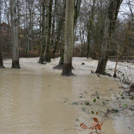 Après les fortes pluies, la Morges a débordé par endroits