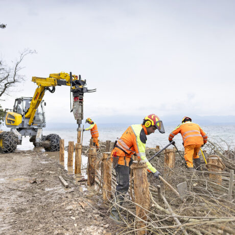 Combattre la nature avec la nature