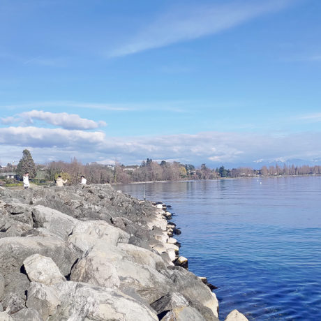 Un poisson-robot testé dans le port du Bief