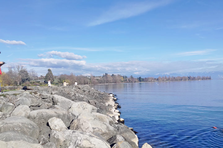 Un poisson-robot testé dans le port du Bief