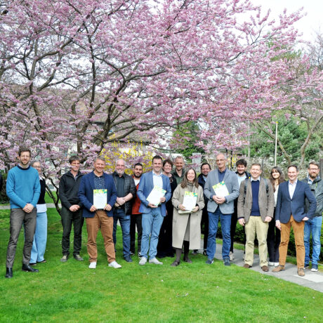 Une charte pour des arbres urbains solides