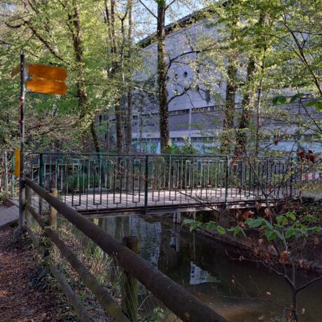 Passerelle à l’étude du côté de Morges