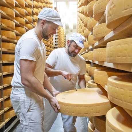 De plus en plus de fromage consommé