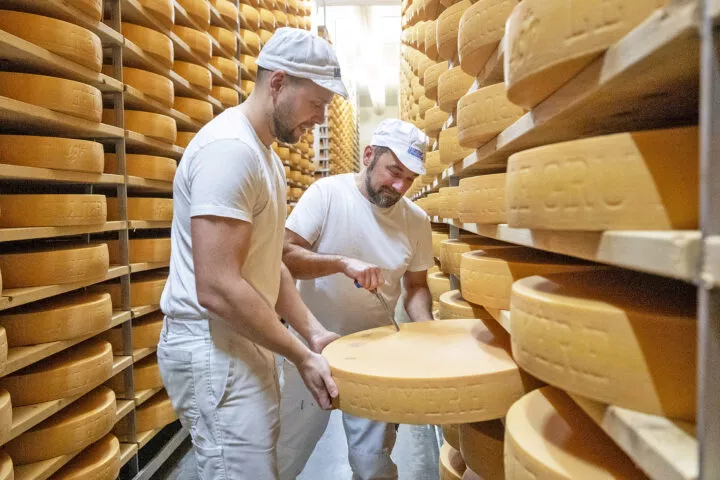De plus en plus de fromage consommé