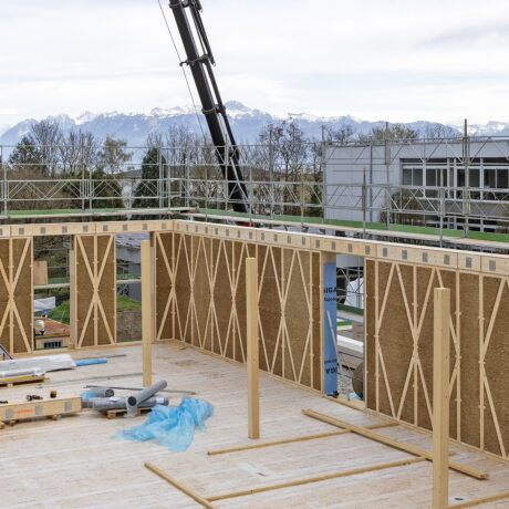 Le bois comme plan B  de la construction