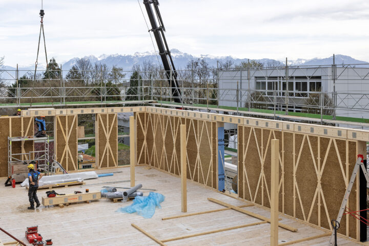 Le bois comme plan B  de la construction