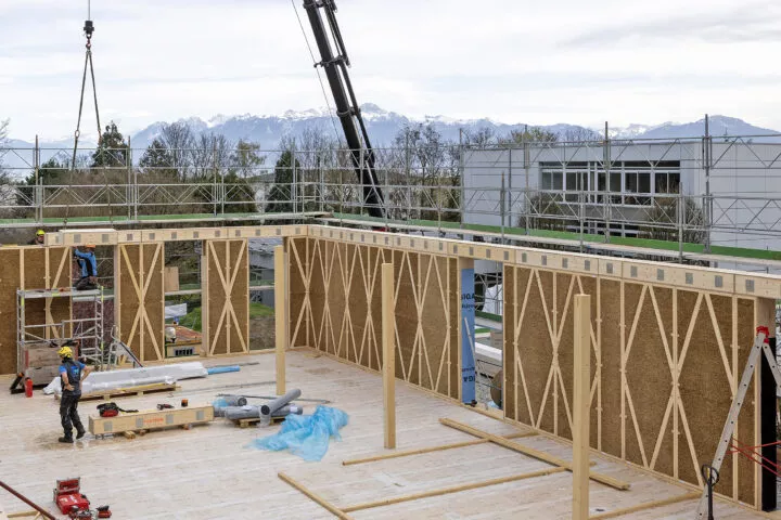 Le bois comme plan B  de la construction