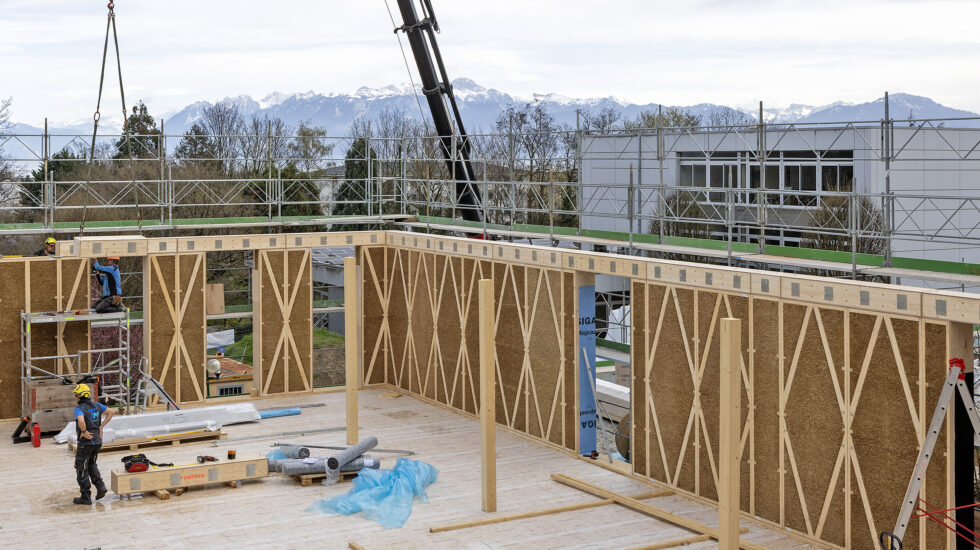 Le bois comme plan B  de la construction