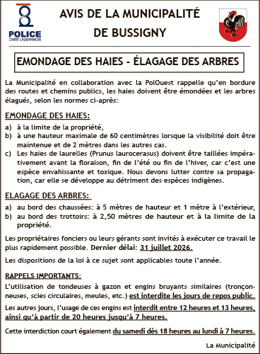 Voir le site de l'annonceur