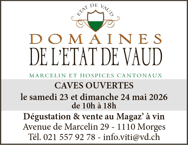 Voir le site de l'annonceur