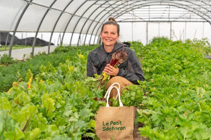Des marchés à la ferme qui se battent pour vivre