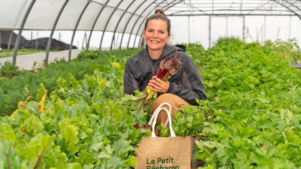 Des marchés à la ferme qui se battent pour vivre