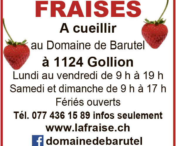 Voir le site de l'annonceur