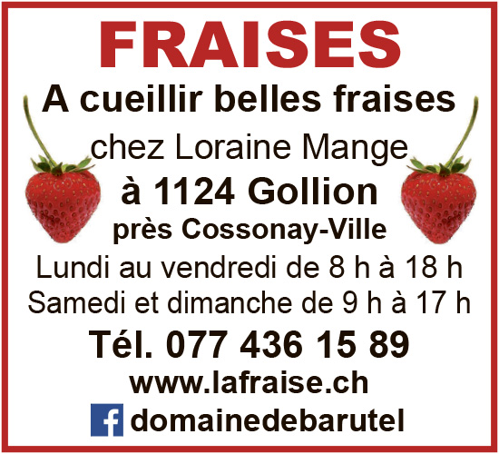Voir le site de l'annonceur