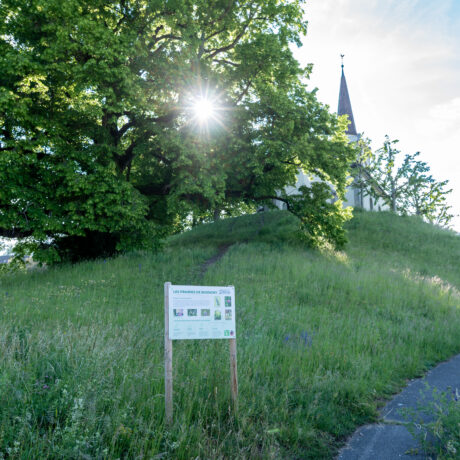 Rendre les jardins des Bussignolais plus durables