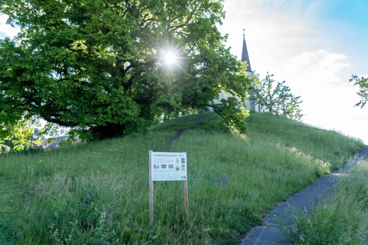 Rendre les jardins des Bussignolais plus durables